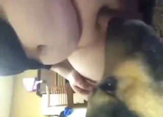 رجل ضخم ينال عسلة من كلب فيديو زو