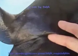 رجل ينك ختمة متحرة بإصبعه على الشاطئ