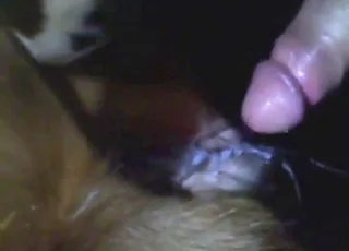 Cow zoophile gets deep throat fuck in barn