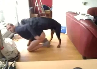Dog Fucks Guy in the Ass During Intimate Session