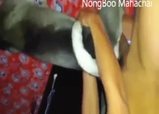 Hot Zoo Sex Scene With Guy Using His Dick