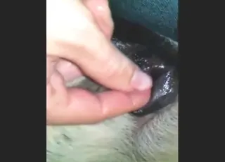 Hard Fingering Animal Until She Screams Loud Zoo Sex animal sex Scene