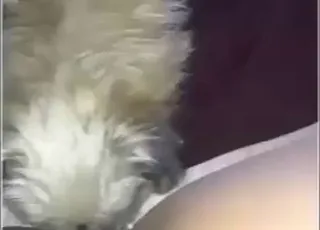 سيدة بدينة مسنة تستمتع بلعق فرجها