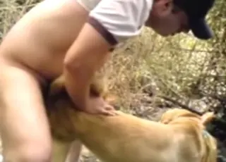 Slacker dog gets pounded fast from behind