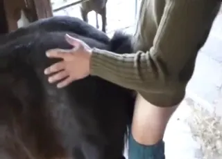 Man and Mare Sex Hard animal sex Clip 2013