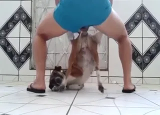 Hot Zoo Sex Seduction With a Sexy Animal in HQ