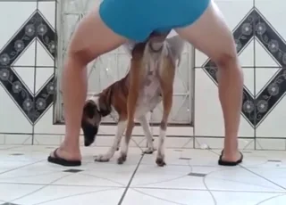 Hot Zoo Sex Seduction With a Sexy Animal in HQ