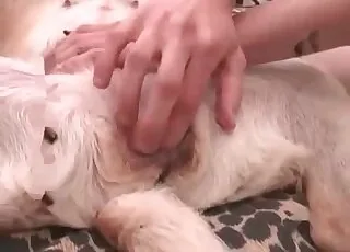 Dirty Dog Enjoys animal sex with His Owner
