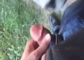 POV First Time Mare Tasting Hardness Zoo Sex animal sex