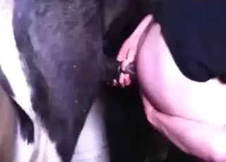 First time riding a stallion pony tight ass scene