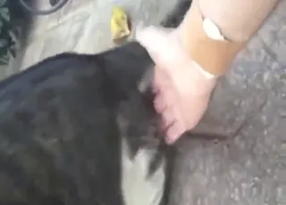 Fingering Wet Cat Pussy For More Arousal