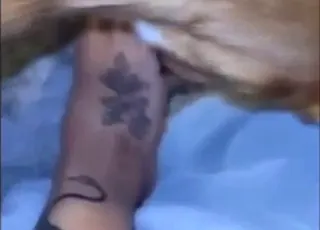POV Zoo Sex Scene: Real Animal Orgasm Close Up with Horse Cow Pig