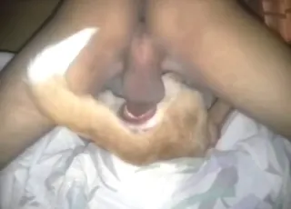 Guy fucks submissive animal in missionary position