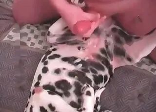 Hardcore Dog Sex With Sexy Pet: animal sex Zoo Porn Scene