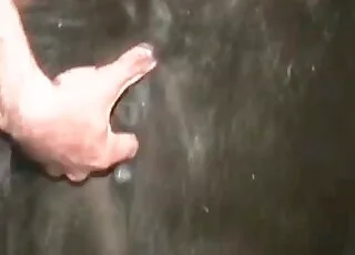 Raw Animal Sex: Brutal Banging With a Submissive Beast zoo sex, animal sex, animal sex, beast, brutal banging,