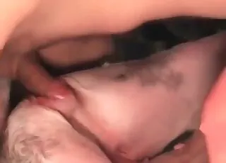 Hot Cock Looking in Doggy Asshole Zoo Sex Scene
