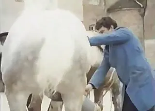 Passionate guy collects fresh horse sperm in this zoo sex scene
