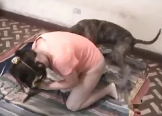 Small greyhound gets nasty sex with big-ass lady
