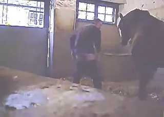 Hot Farm Horse Sex Scene With Handsome Man