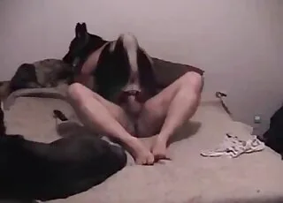 Small Dog Enjoys Huge Penis in Sensual Zoo Sex Clip
