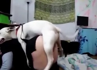 Cute white dog fucks her wide open pussy quickly