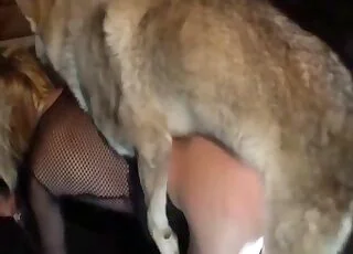 Hot female gets rough sex with a big brutal dog