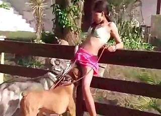 كلب نشيط يستسلم لغزل في الهواء الطلق