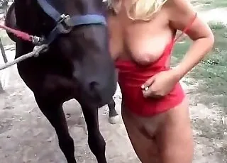 Incredible stallion sex with hot busty mare